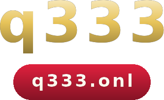 q333 logo